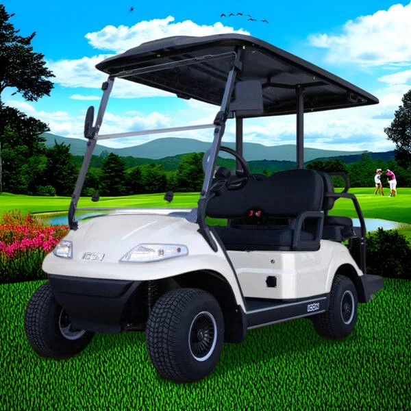 Golf Cart Electric Golf Carts Golf Cart Accessories