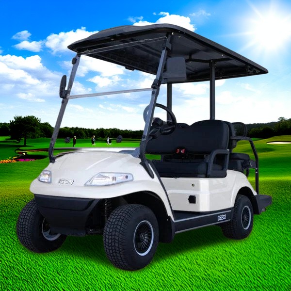 Golf Cart Electric Golf Carts Golf Cart Accessories